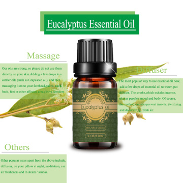 OEM custom private label Relaxing eucalyptus essential oil