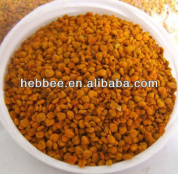 2014Hot Sale Tea Flower Pollen