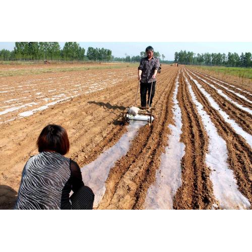 Película de cobertura vegetal biodegradável para controle de ervas daninhas