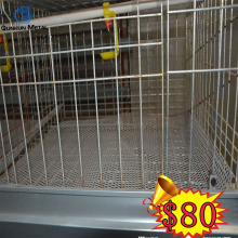 Automatic Industrial egg layer Chicken Coop