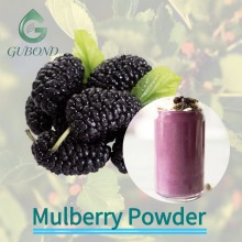 Mulberry Spray Dried Fruit Powder