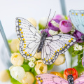 Τρισδιάστατες ιδέες διακόσμησης πεταλούδας
