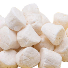 Bulk Cargo of Freeze-Dried Scallops: Premium Cat Snacks and Seafood for Kitten and Cat Food