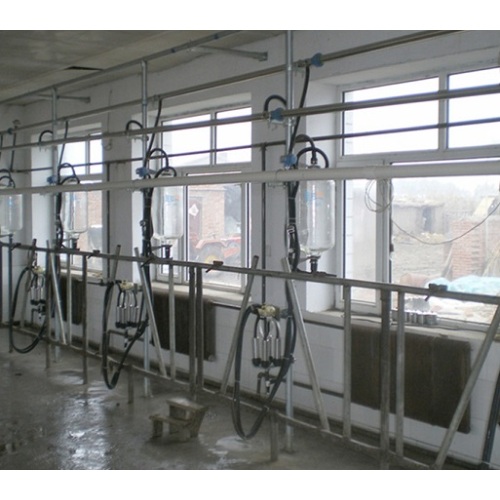 Pipeline Cow Milking Milking Equipments