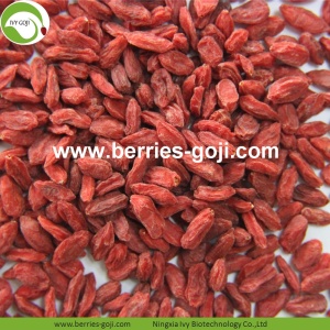 Borong Sehat Merah Eu Standard Goji Berries