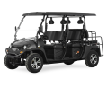 7,5 kW elektrischer EEC UTV mit EEC