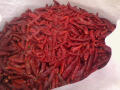 Boa qualidade quente Picante Seco Chaotian Chili