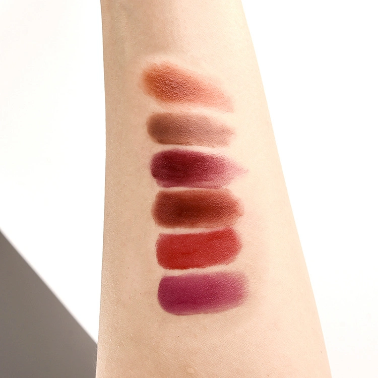Cosmetics Makeup Fashion Colors Lip Gloss Private Label Matte Liquid Lipstick