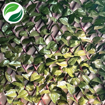 Expansion joint peach leaf