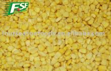 Delicious IQF frozen corn