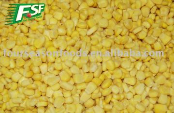 Delicious IQF frozen corn