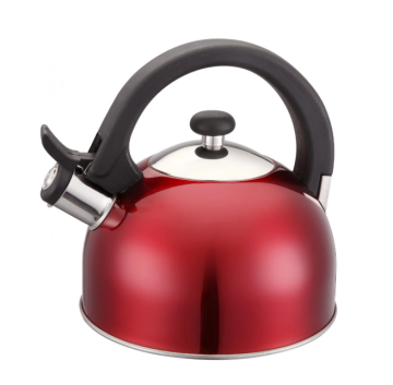 Whistling Kettle for Home