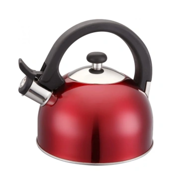 Gris Silbando Hervidor 3L Acero Inoxidable Placa Estufa Gas Mango de ebullición rápida Regalo