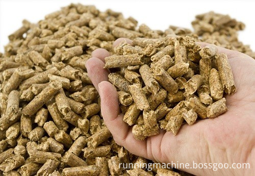 biomass (1)