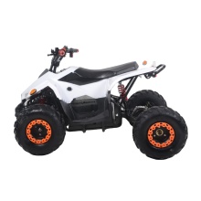 Chinese Wholesale 110cc Kids ATV Four Wheels Automatic For Sale