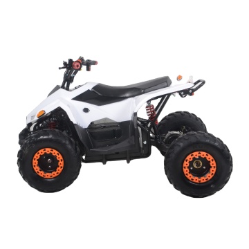 Chinese Wholesale 110cc Kids ATV Four Wheels Automatic For Sale