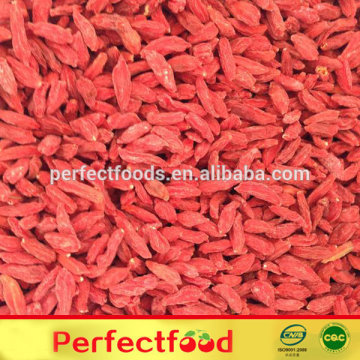 China goji berry manufacturer