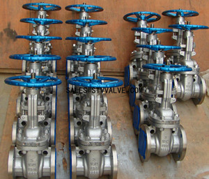 API/ANSI gate valve