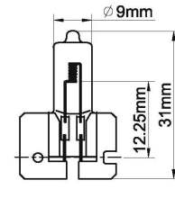 auto Halogen lamps /H2