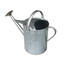 Best Galvanized Indoor Watering Can