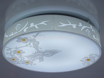 Bathroom ceiling mounted LED light fixtures