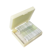 Bacteria Germs 20 Kinds Microscope Slides Teaching Resource