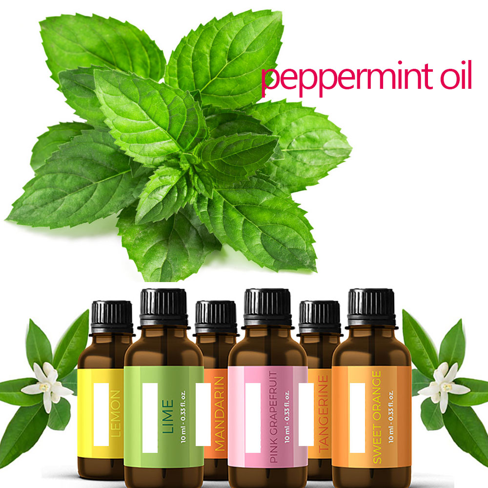 Mafuta muhimu ya peppermint 10ml Mafuta muhimu muhimu