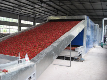 Vegetable Dehydration Belt Dryer