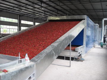 Vegetable Dehydration Belt Dryer