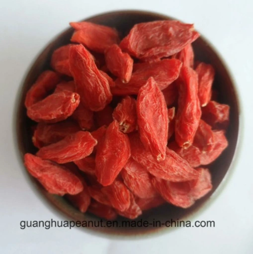 Dried Goji Berry From China