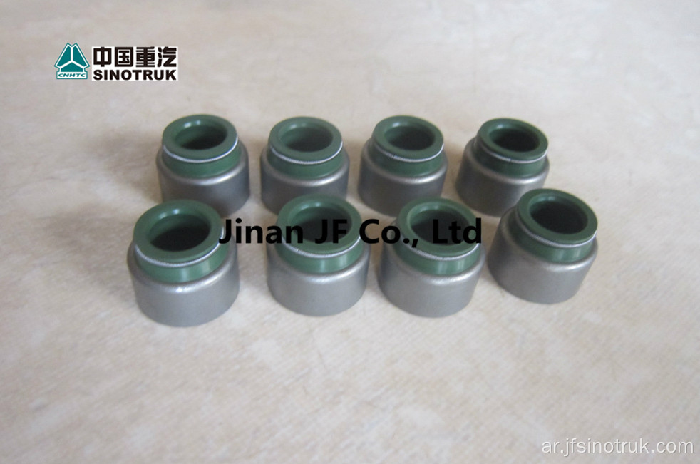 VG15400040016 VG1540040022 Howo Sino Truck Oil seal