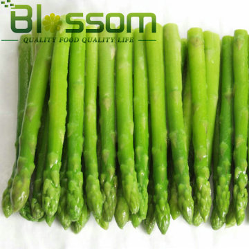 IQF frozen green asparagus