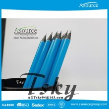 Hot selling Customized Museum Pencil