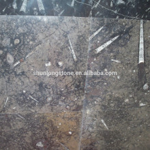 Ocen fossil Stone tile,black marble decorative tile