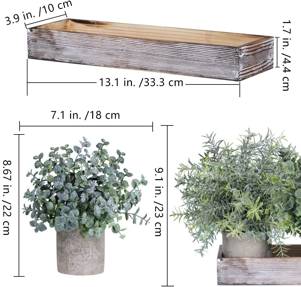 Conjunto de 3 mini plantas de eucalipto artificial em vasos