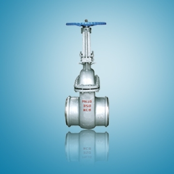 BW Gate Valve