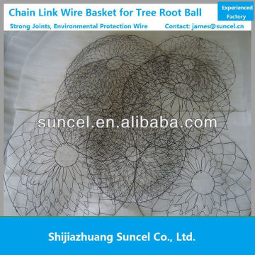 Tree Guard Mesh