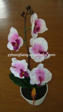 decorations flower light butterfly