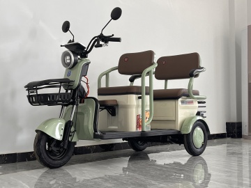 Mini three wheeled electric vehicle