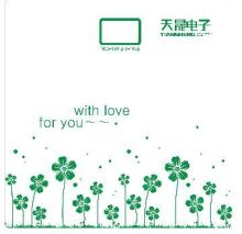 TS-2012A03 electric bath scale