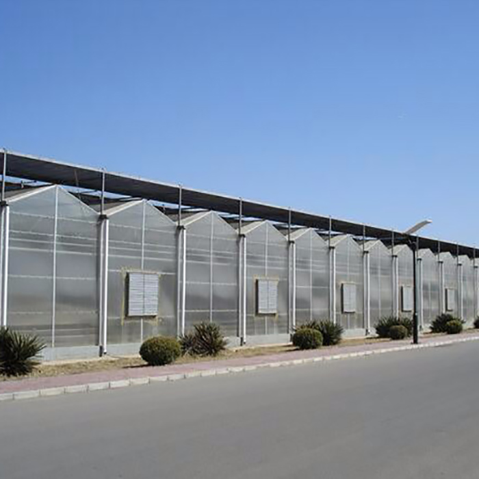 Venlo Multi-Span PC Board Agricultural Greenhouse