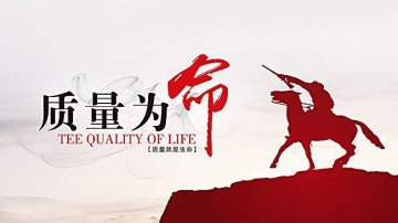 Quality Inspection Factory Evaluation