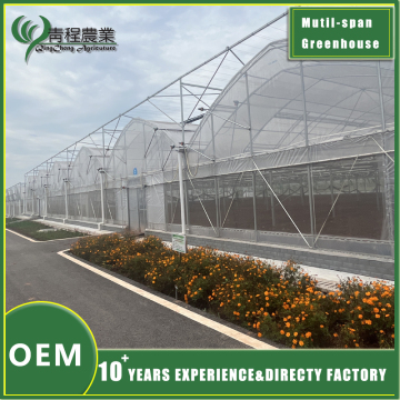 Multi Span Greenhouse with Double Layer Design