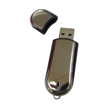 Metal USB 2.0 Versions Flash Pen Drive