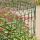 Green Garden Border Fence Scroll Top Rolled Fencing