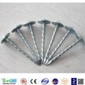 IBR Roofing Nails Twisted Shank Galvanized Finished