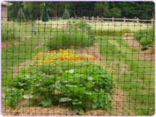 Plastic Deer Fence Net