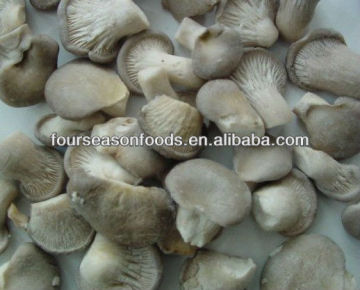 IQF oyster mushroom