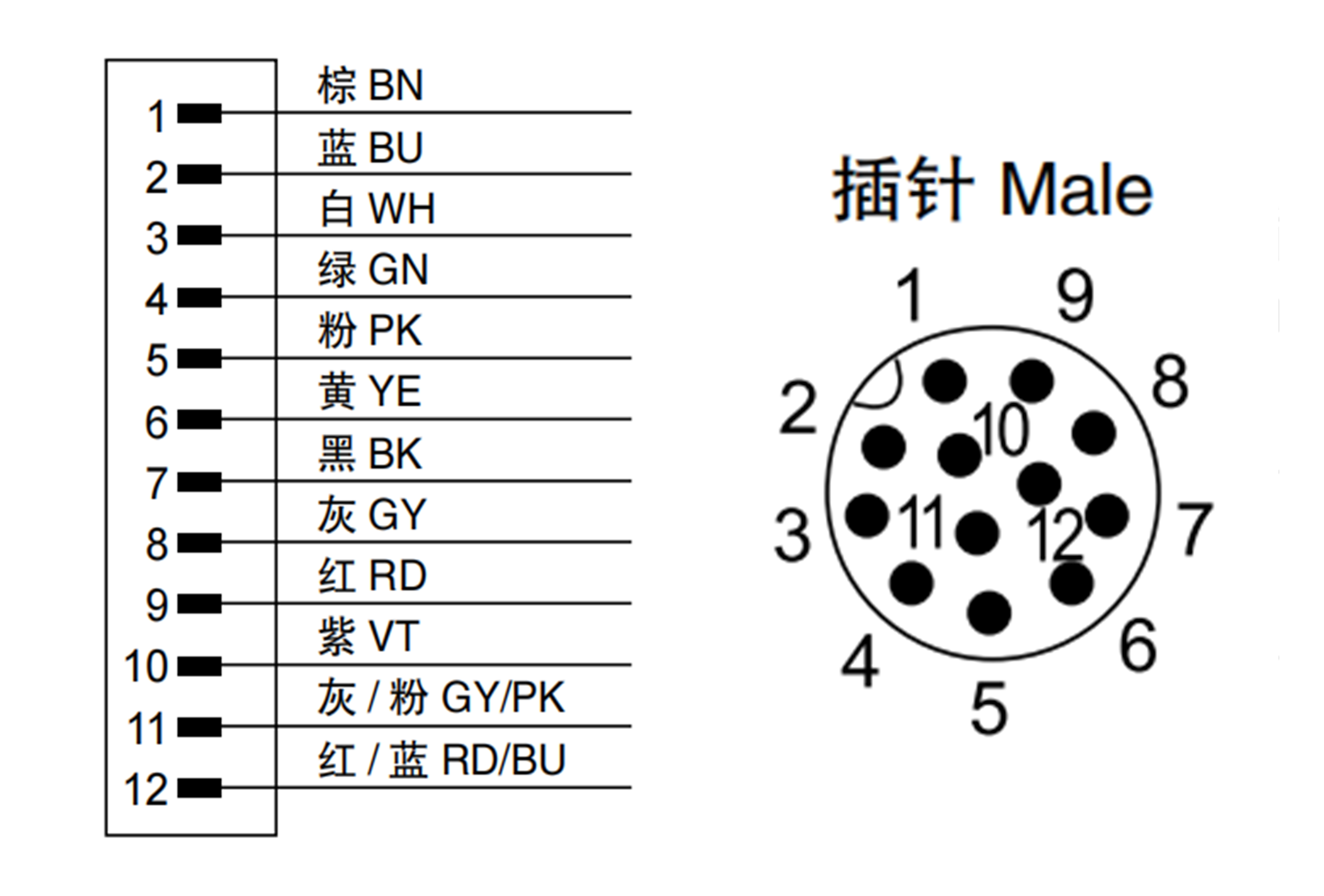 M12 Male straight connection cable