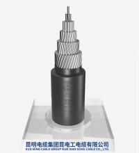 Aerial Insulated Cable for Overhead Transmission Lines